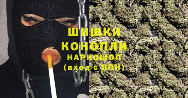 стафф Гусев