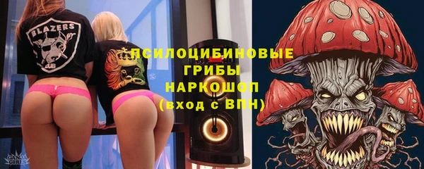 гидропоника Белоозёрский