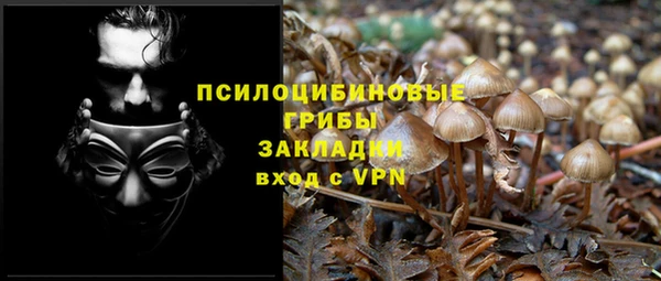 ALPHA PVP Зерноград