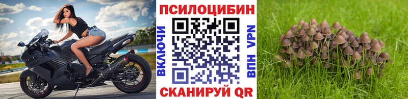 Галлюциногенные грибы Cubensis  Боготол 